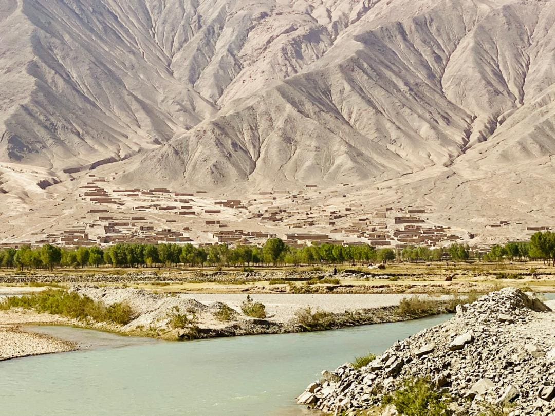 View of village and cut trees from mountain and river side 1